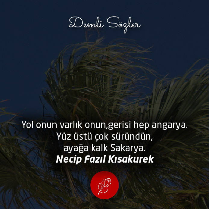 Yol onun varlık onun,gerisi hep angarya. Yüz üstü çok süründün, ayağa kalk Sakarya.