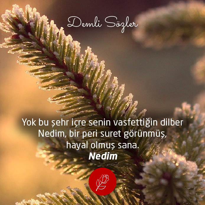 Yok bu şehr içre senin vasfettiğin dilber Nedim, bir peri suret görünmüş, hayal olmuş sana.