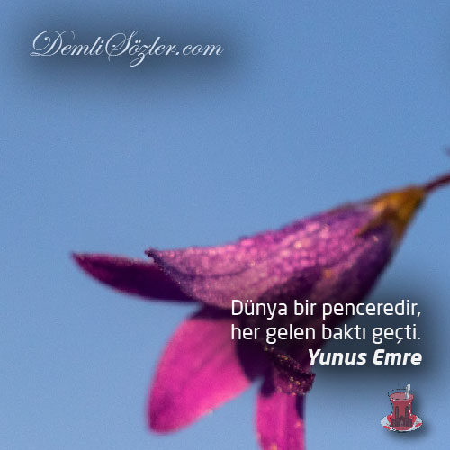 Dünya bir penceredir, her gelen baktı geçti.