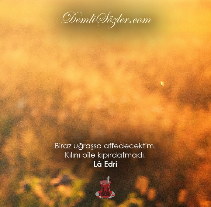 Biraz uğraşsa affedecektim. Kılını bile kıpırdatmadı.