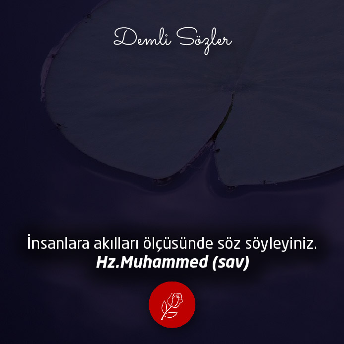 İnsanlara akılları ölçüsünde söz söyleyiniz.