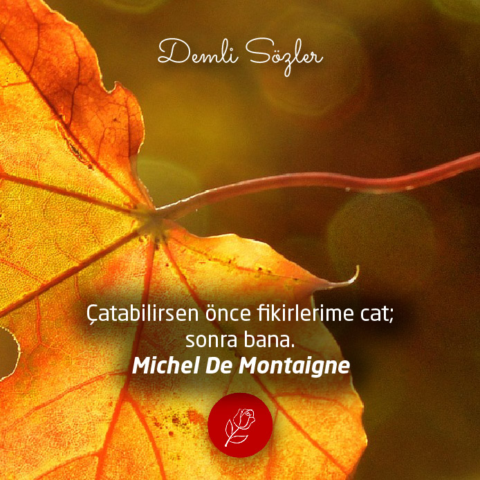 Çatabilirsen önce fikirlerime cat; sonra bana.