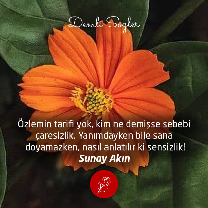 Özlemin tarifi yok, kim ne demişse sebebi çaresizlik. Yanımdayken bile sana doyamazken, nasıl anlatılır ki sensizlik!