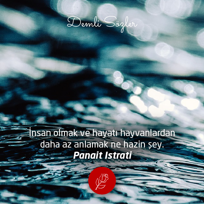 İnsan olmak ve hayatı hayvanlardan daha az anlamak ne hazin şey.