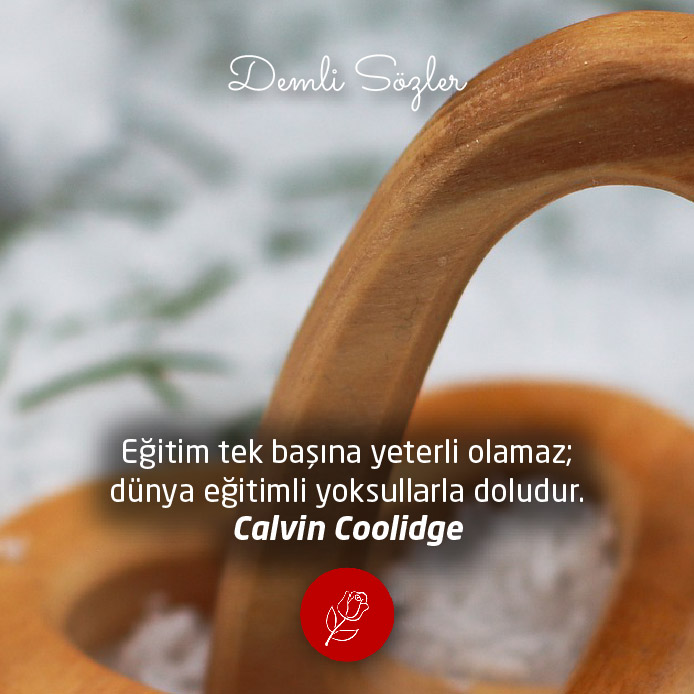 Eğitim tek başına yeterli olamaz; dünya eğitimli yoksullarla doludur.