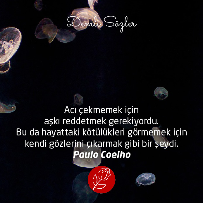 Acı çekmemek için aşkı reddetmek gerekiyordu. Bu da hayattaki kötülükleri görmemek için kendi gözlerini çıkarmak gibi bir şeydi. - Paulo Coelho
