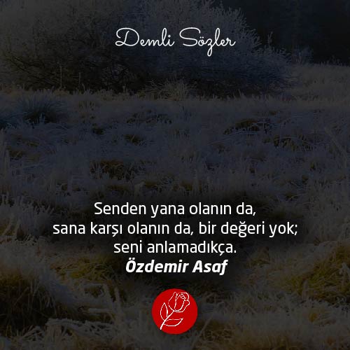 Senden yana olanın da, sana karşı olanın da, bir değeri yok; seni anlamadıkça.