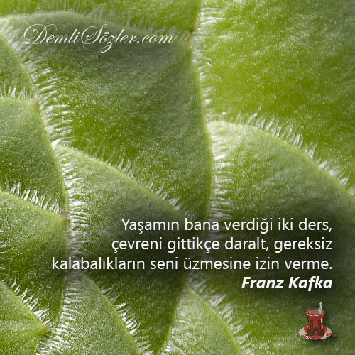 Yaşamın bana verdiği iki ders, çevreni gittikçe daralt, gereksiz kalabalıkların seni üzmesine izin verme.