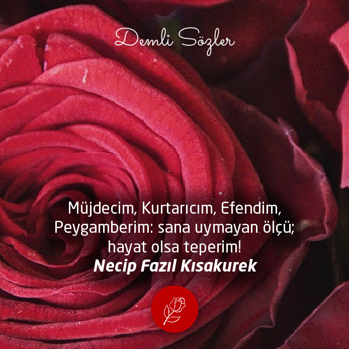 Müjdecim, Kurtarıcım, Efendim, Peygamberim: sana uymayan ölçü; hayat olsa teperim!
