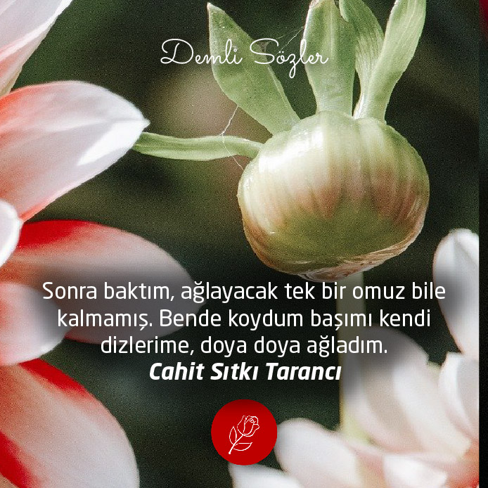 Sonra baktım, ağlayacak tek bir omuz bile kalmamış. Bende koydum başımı kendi dizlerime, doya doya ağladım.