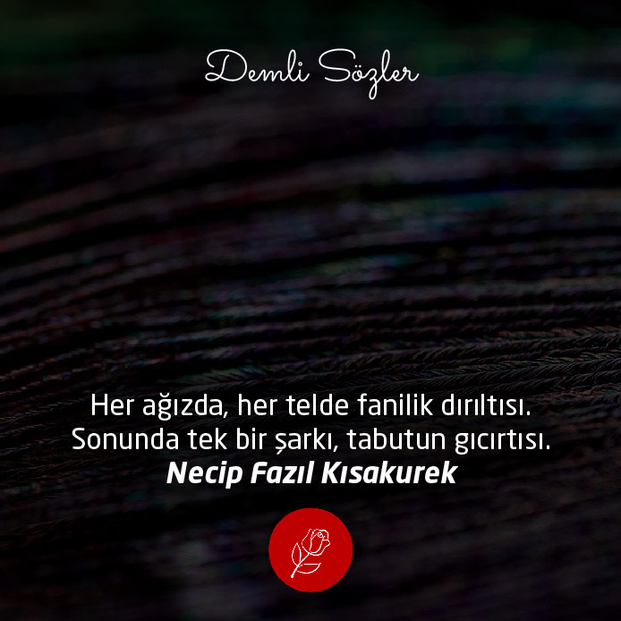 Her ağızda, her telde fanilik dırıltısı. Sonunda tek bir şarkı, tabutun gıcırtısı.