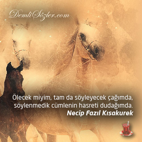 Ölecek miyim, tam da söyleyecek çağımda, söylenmedik cümlenin hasreti dudağımda.