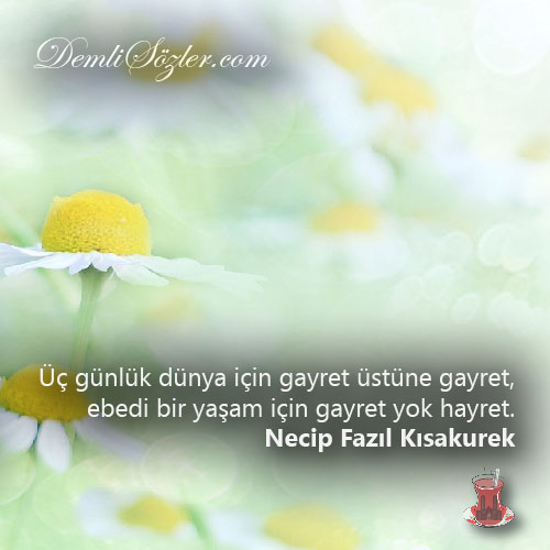 Üç günlük dünya için gayret üstüne gayret, ebedi bir yaşam için gayret yok hayret.
