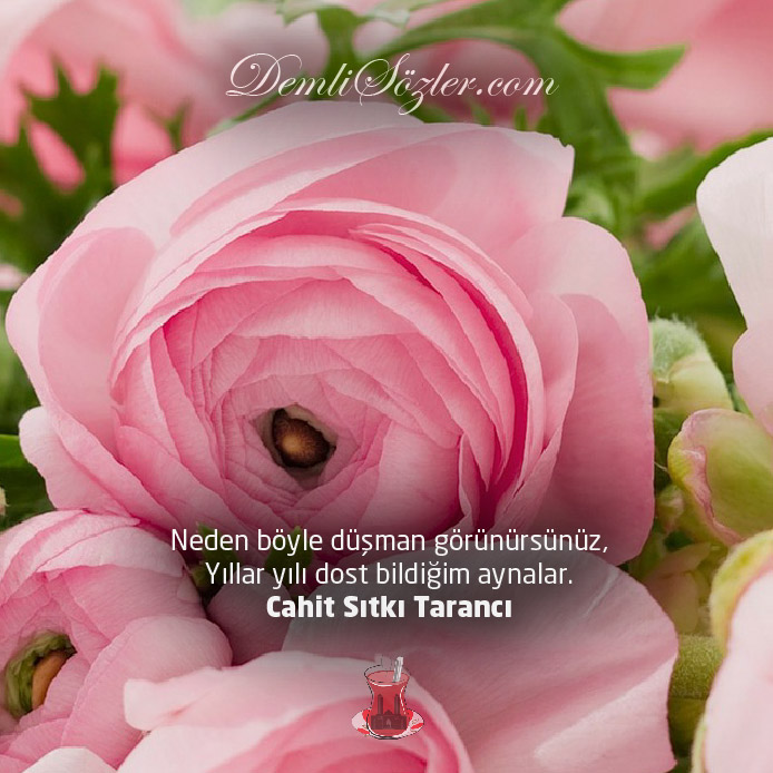 Neden böyle düşman görünürsünüz, Yıllar yılı dost bildiğim aynalar.