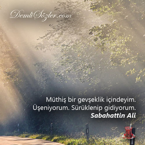 Müthiş bir gevşeklik içindeyim. Üşeniyorum. Sürüklenip gidiyorum.