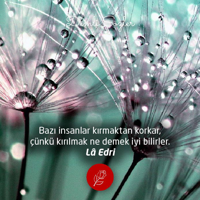 Bazı insanlar kırmaktan korkar, çünkü kırılmak ne demek iyi bilirler.