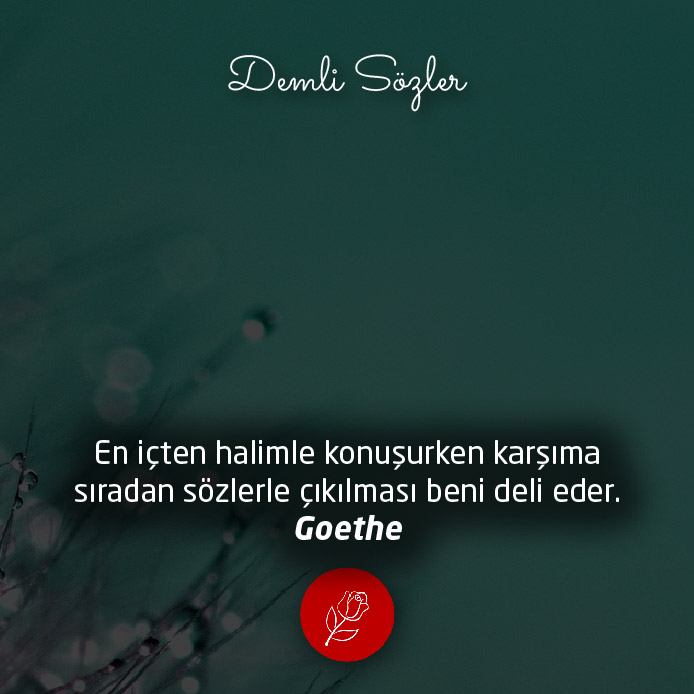 En içten halimle konuşurken karşıma sıradan sözlerle çıkılması beni deli eder.