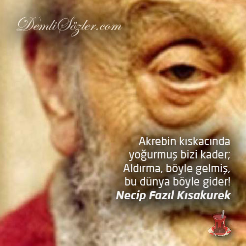 Akrebin kıskacında yoğurmuş bizi kader; aldırma, böyle gelmiş, bu dünya böyle gider!