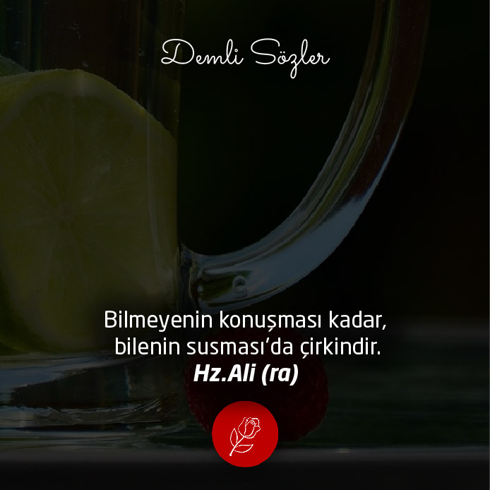 Bilmeyenin konuşması kadar, bilenin susması'da çirkindir.