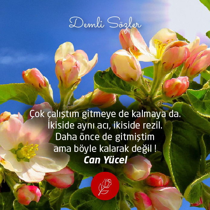 Çok çalıştım gitmeye de kalmaya da. İkiside aynı acı, ikiside rezil. Daha önce de gitmiştim ama böyle kalarak değil !
