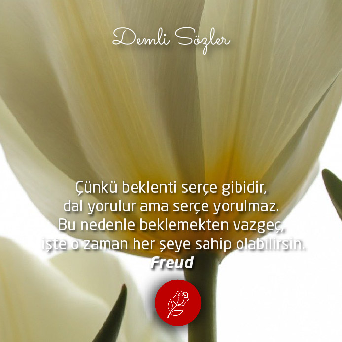 Çünkü beklenti serçe gibidir, dal yorulur ama serçe yorulmaz. Bu nedenle beklemekten vazgeç, işte o zaman her şeye sahip olabilirsin.