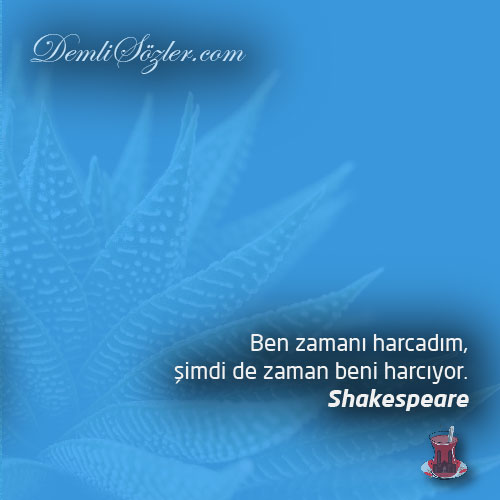 Ben zamanı harcadım, şimdi de zaman beni harcıyor.