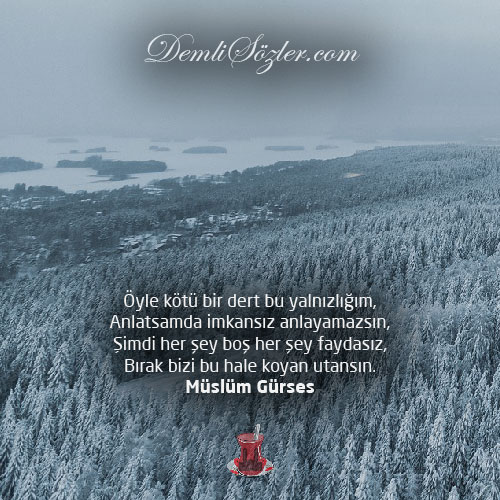 Öyle kötü bir dert bu yalnızlığım, anlatsamda imkansız anlayamazsın, şimdi her şey boş her şey faydasız, bırak bizi bu hale koyan utansın.