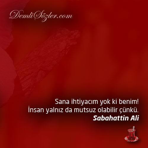Sana ihtiyacım yok ki benim! İnsan yalnız da mutsuz olabilir çünkü.