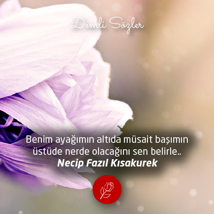 Benim ayağımın altıda müsait başımın üstüde nerde olacağını sen belirle..