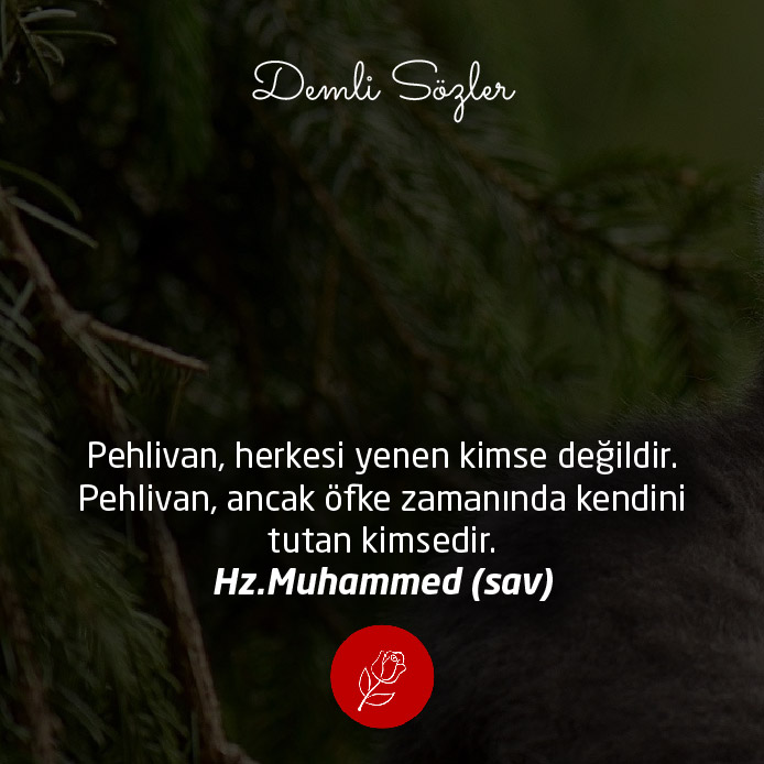 Pehlivan, herkesi yenen kimse değildir. Pehlivan, ancak öfke zamanında kendini tutan kimsedir.