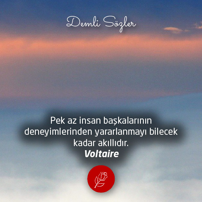 Pek az insan başkalarının deneyimlerinden yararlanmayı bilecek kadar akıllıdır.