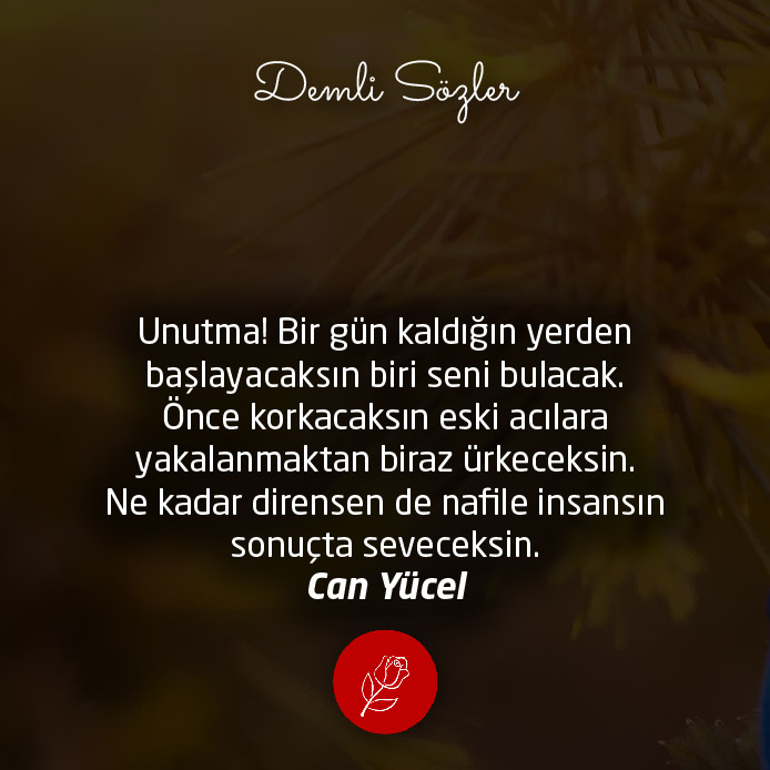Unutma! Bir gün kaldığın yerden başlayacaksın biri seni bulacak. Önce korkacaksın eski acılara yakalanmaktan biraz ürkeceksin. Ne kadar dirensen de nafile insansın sonuçta seveceksin.