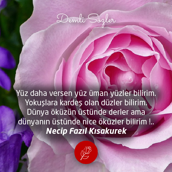 Yüz daha versen yüz üman yüzler bilirim. Yokuşlara kardeş olan düzler bilirim. Dünya öküzün üstünde derler ama dünyanın üstünde nice öküzler bilirim !..