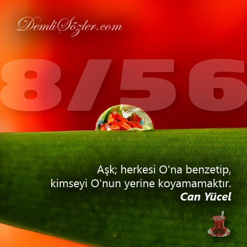 Aşk; herkesi O'na benzetip, kimseyi O'nun yerine koyamamaktır.