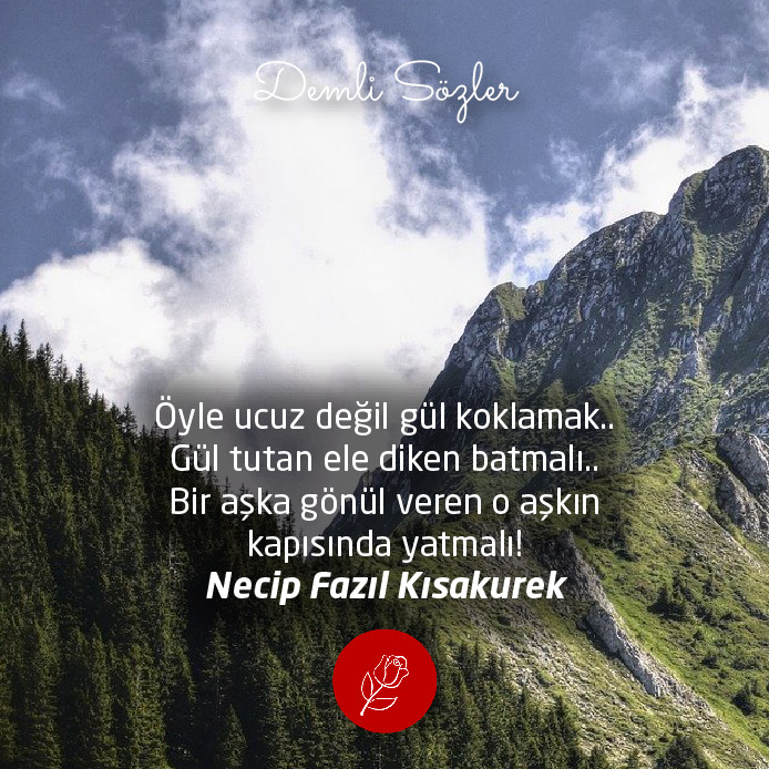 Öyle ucuz değil gül koklamak.. Gül tutan ele diken batmalı.. Bir aşka gönül veren o aşkın kapısında yatmalı!