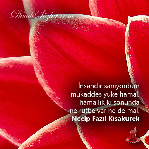 İnsandır sanıyordum mukaddes yüke hamal, hamallık ki sonunda ne rütbe var ne de mal.