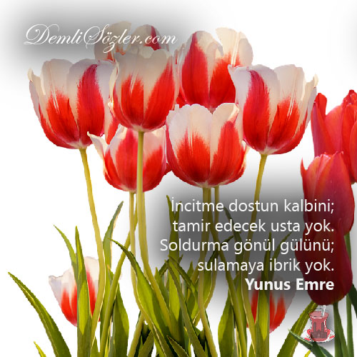 İncitme dostun kalbini; tamir edecek usta yok. Soldurma gönül gülünü; sulamaya ibrik yok.