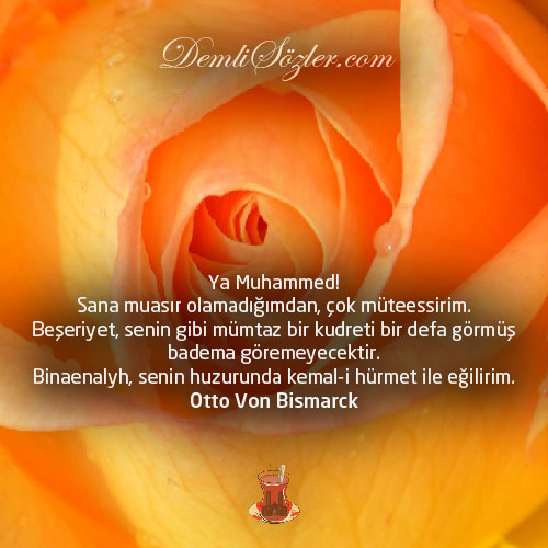 Ya Muhammed! Sana muasır olamadığımdan, çok müteessirim. Beşeriyet, senin gibi mümtaz bir kudreti bir defa görmüş badema göremeyecektir. Binaenalyh, senin huzurunda kemal-i hürmet ile eğilirim.