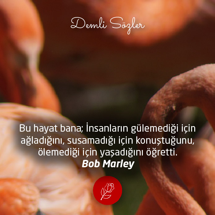 Bu hayat bana; İnsanların gülemediği için ağladığını, susamadığı için konuştuğunu, ölemediği için yaşadığını öğretti.