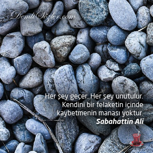 Her şey geçer. Her şey unutulur. Kendini bir felaketin içinde kaybetmenin manası yoktur.