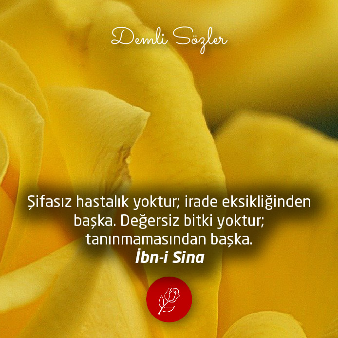 Şifasız hastalık yoktur; irade eksikliğinden başka. Değersiz bitki yoktur; tanınmamasından başka.