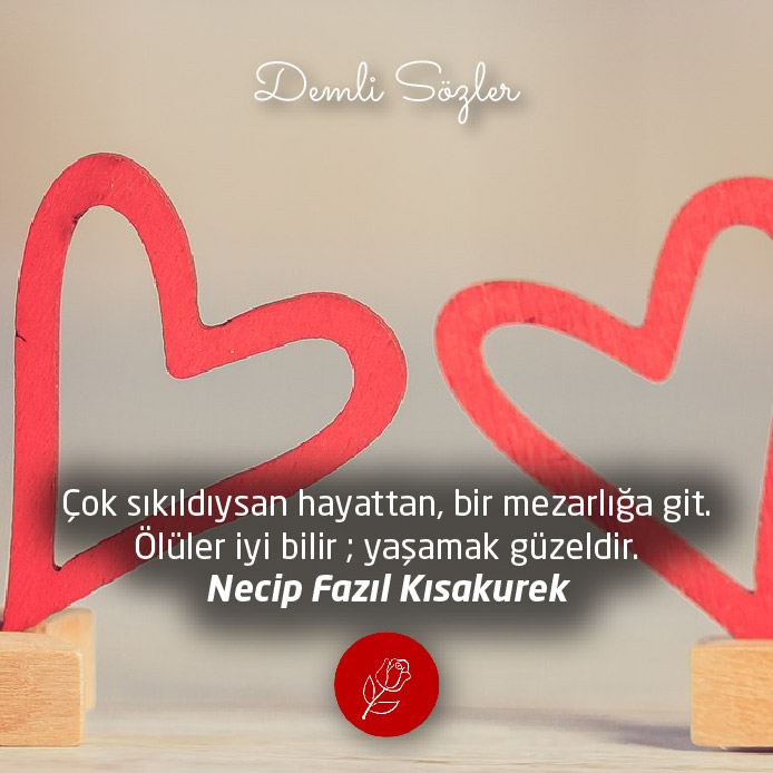 Çok sıkıldıysan hayattan, bir mezarlığa git. Ölüler iyi bilir ; yaşamak güzeldir.