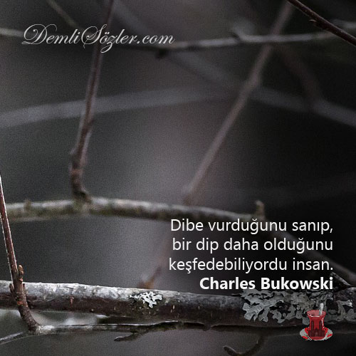 Dibe vurduğunu sanıp, bir dip daha olduğunu keşfedebiliyordu insan.