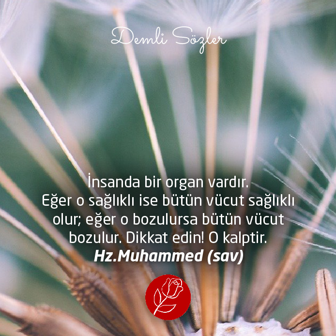 İnsanda bir organ vardır. Eğer o sağlıklı ise bütün vücut sağlıklı olur; eğer o bozulursa bütün vücut bozulur. Dikkat edin! O kalptir.