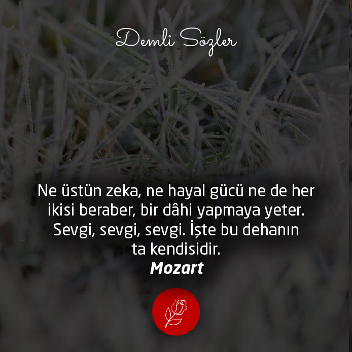 Ne üstün zeka, ne hayal gücü ne de her ikisi beraber, bir dâhi yapmaya yeter. Sevgi, sevgi, sevgi. İşte bu dehanın ta kendisidir.