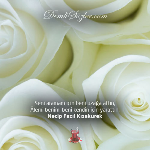 Seni aramam için beni uzağa attın, âlemi benim, beni kendin için yarattın.