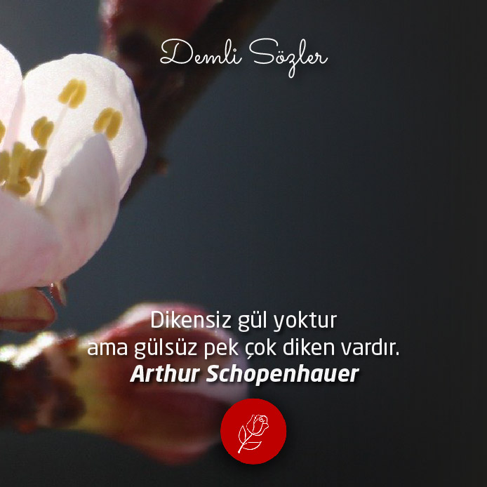 Dikensiz gül yoktur ama gülsüz pek çok diken vardır.