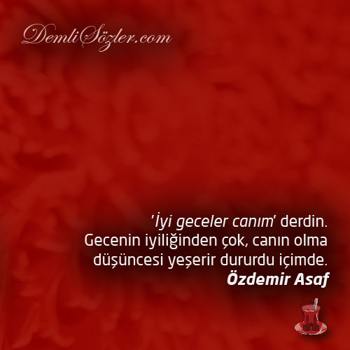 'İyi geceler canım' derdin. Gecenin iyiliğinden çok, canın olma düşüncesi yeşerir dururdu içimde.