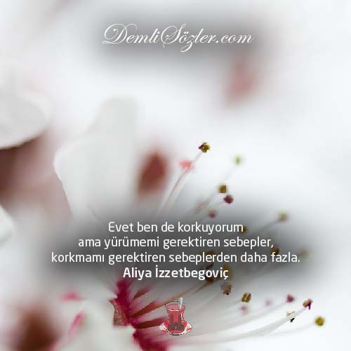 Evet ben de korkuyorum ama yürümemi gerektiren sebepler, korkmamı gerektiren sebeplerden daha fazla.