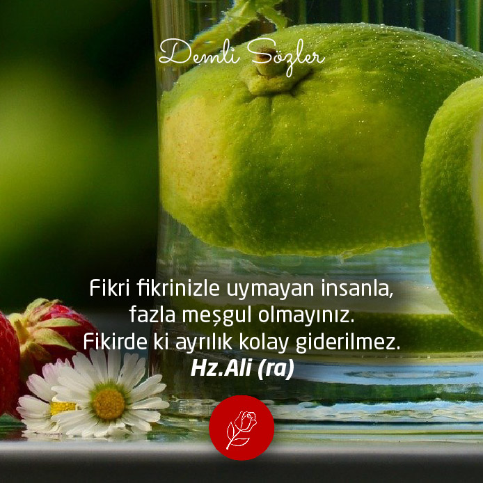 Fikri fikrinizle uymayan insanla, fazla meşgul olmayınız. Fikirde ki ayrılık kolay giderilmez.